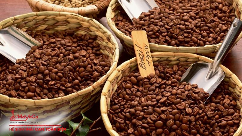 C&agrave; ph&ecirc; phin Đ&agrave; Nẵng loại n&agrave;o tốt? Địa chỉ b&aacute;n c&agrave; ph&ecirc; ngon v&agrave; uy t&iacute;n - Ảnh 2.