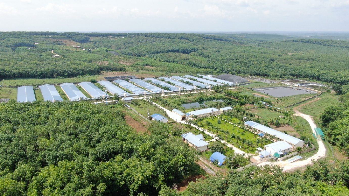 C.P. Việt Nam vào Top 5 doanh nghiệp đổi mới sáng tạo ngành nông nghiệp công nghệ cao - Ảnh 2.