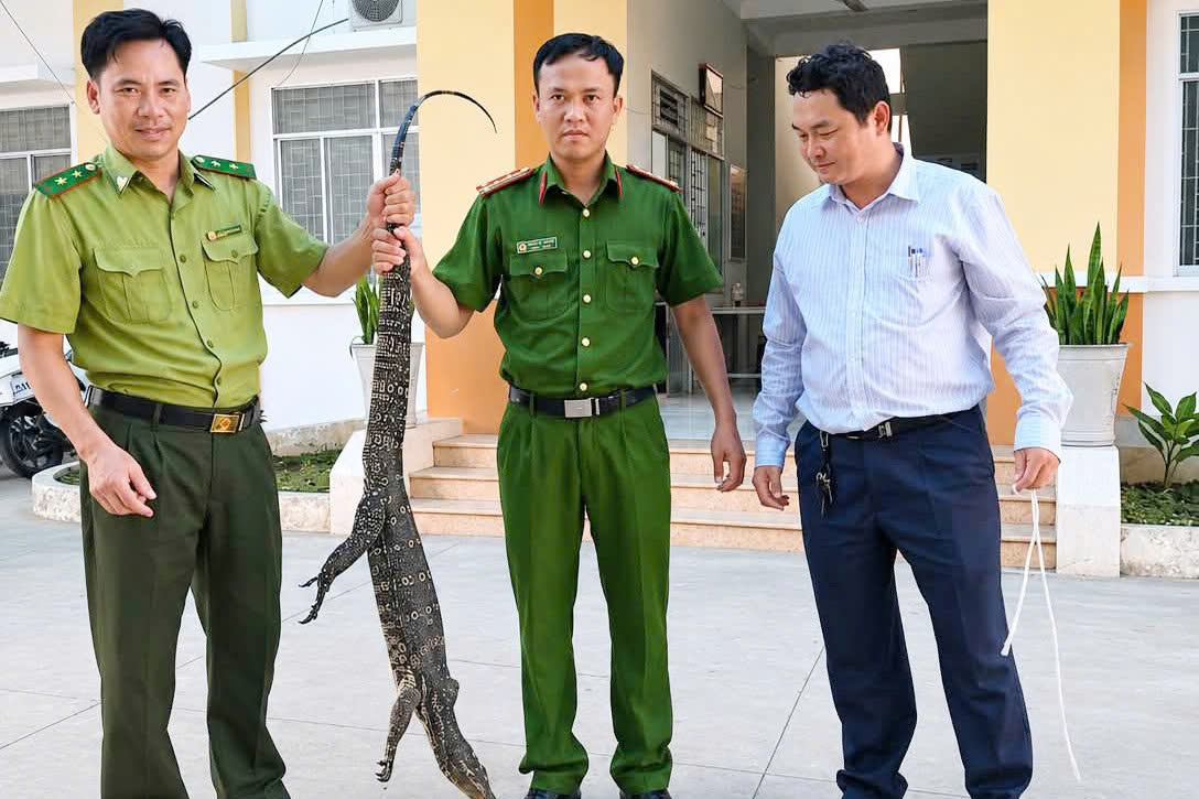 Một người d&acirc;n ở T&acirc;y Ninh giao nộp kỳ đ&agrave; hoa nặng 6,5kg - Ảnh 2.