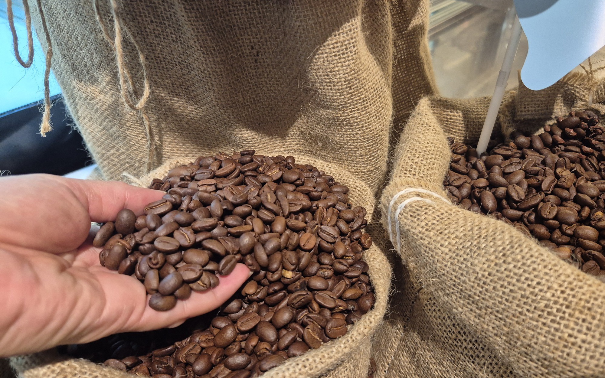 Giá cà phê hôm nay, 30-6: Arabica bật tăng, Robusta sụt giảm