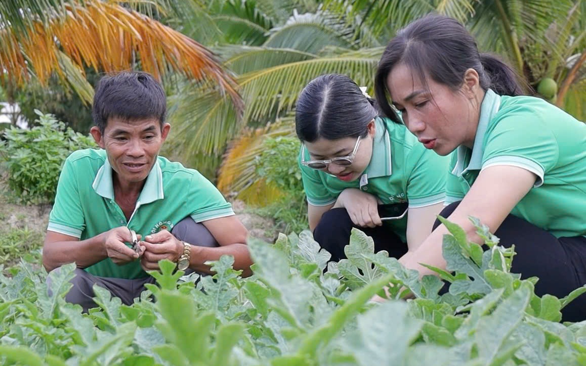 Nông dân Đặc khu Côn Đảo kể chuyện sản xuất xanh 