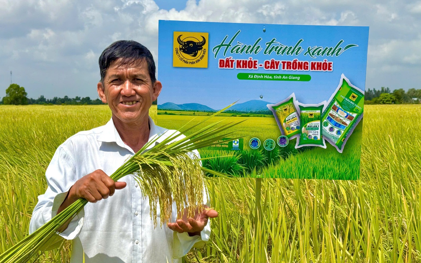Đất khỏe hôm nay, mùa vàng ngày mai