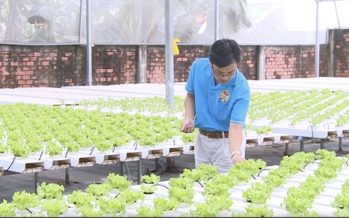 Vườn rau 4.0 của nông dân thời số