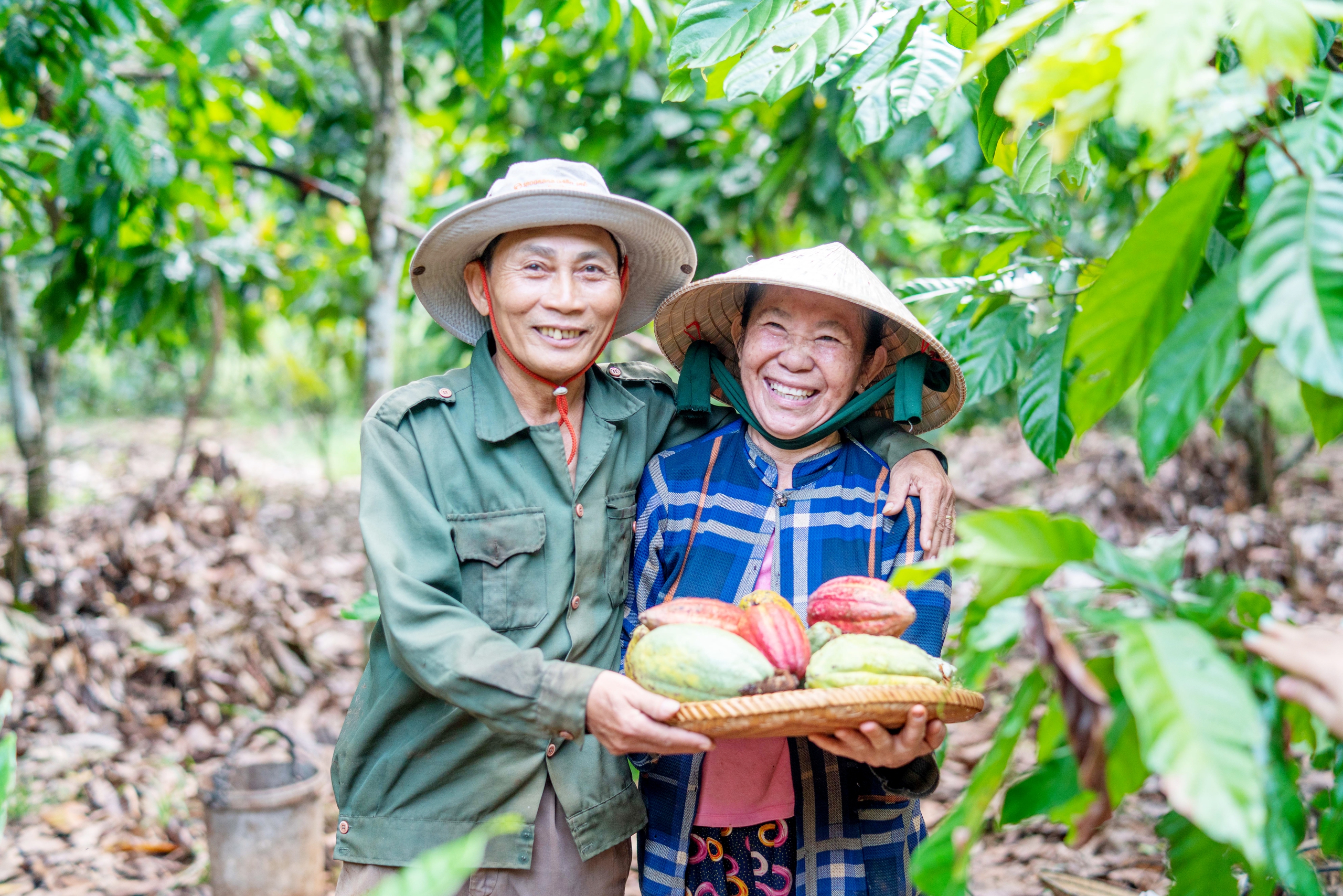 Ca cao Việt chinh phục thị trường quốc tế - Ảnh 2.