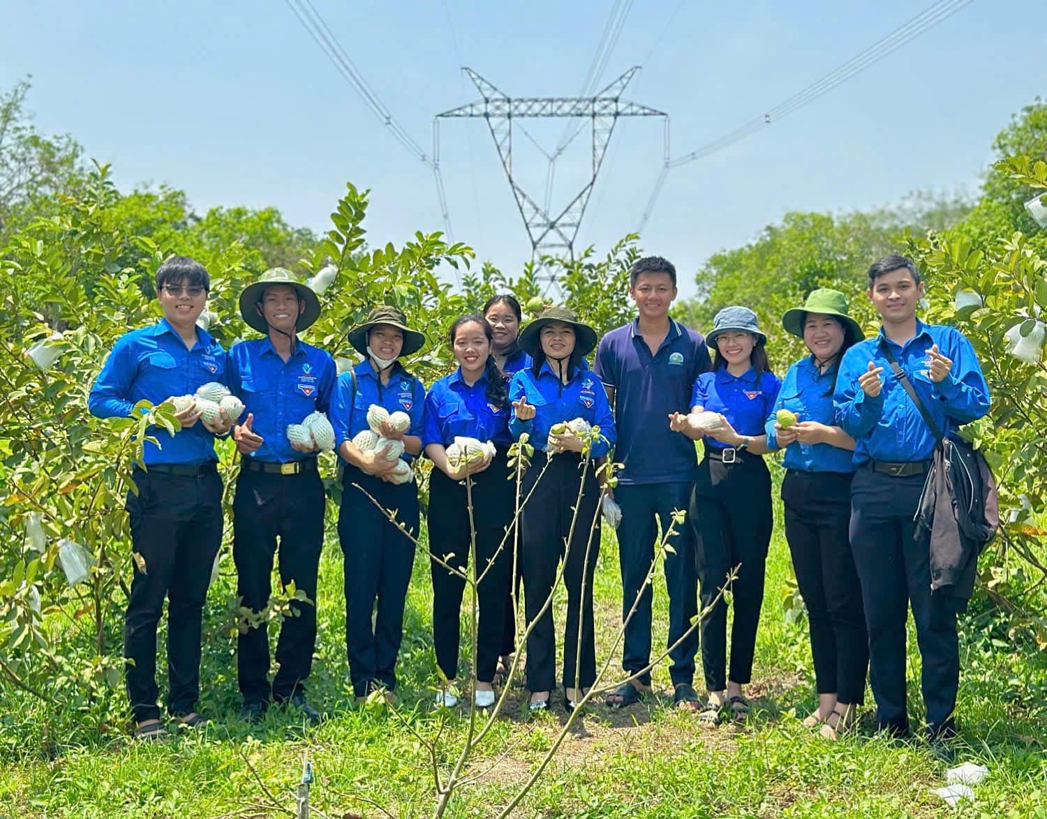 Chàng trai 9X đưa ổi vươn ra thế giới - Ảnh 2.