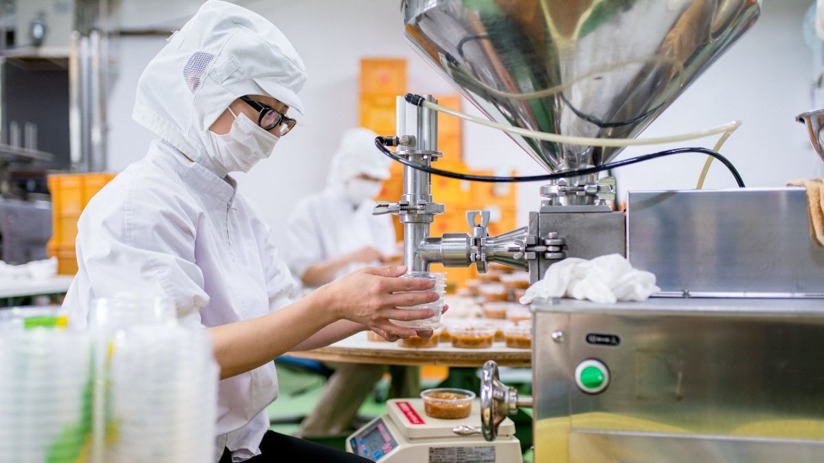 TPHCM giới thiệu việc l&agrave;m cho hơn 265.000 lượt người - Ảnh 1.