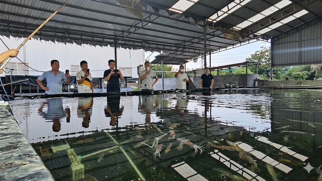 Biến chất thải th&agrave;nh t&agrave;i nguy&ecirc;n, nu&ocirc;i mực biển giữa l&ograve;ng đ&ocirc; thị - Ảnh 5.