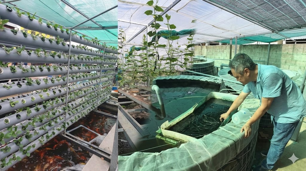 Biến chất thải th&agrave;nh t&agrave;i nguy&ecirc;n, nu&ocirc;i mực biển giữa l&ograve;ng đ&ocirc; thị - Ảnh 2.