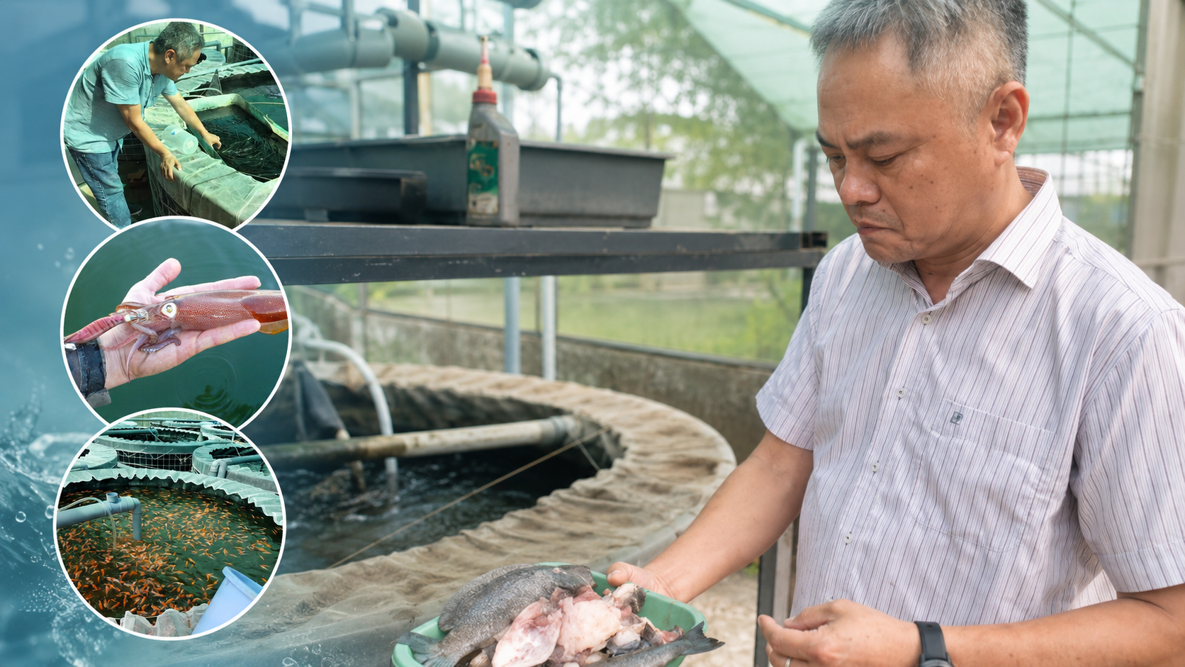 Biến chất thải th&agrave;nh t&agrave;i nguy&ecirc;n, nu&ocirc;i mực biển giữa l&ograve;ng đ&ocirc; thị - Ảnh 3.