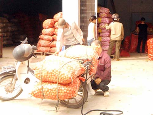 “Nhắm mắt” buôn nông sản Trung Quốc vì lãi khủng