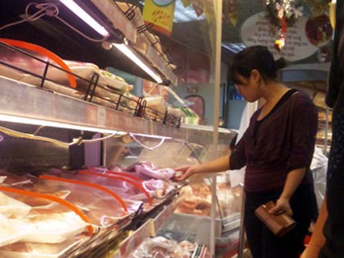 Bò Úc tấn công bò nội ngay trên sân nhà