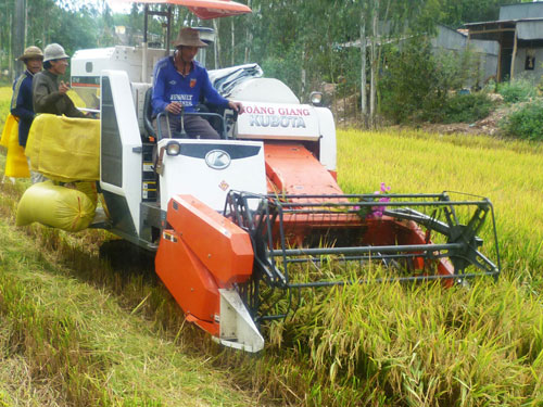 Vẫn tiếp tục giao đất 20 năm