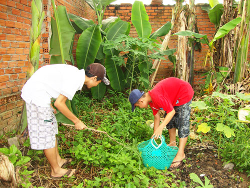 Ăn ốc sên trị bệnh khớp?