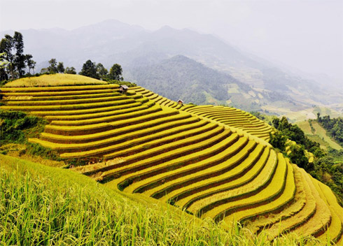Tuần văn hóa thể thao và du lịch Mù Cang Chải 2013