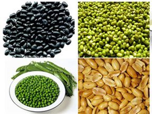 Thực phẩm dinh dưỡng cho mái tóc khỏe đẹp