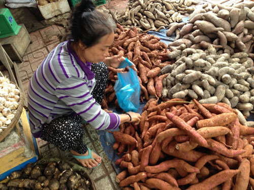 Khoai lang rẻ mà bổ