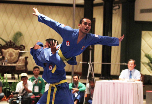 Đưa Vovinam bay xa