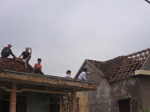 Tan nát Liên Trạch