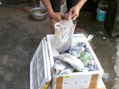 Mua bán hải sản từ gốc