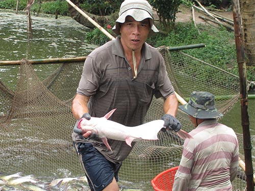 Dè dặt bơm vốn cho ĐBSCL