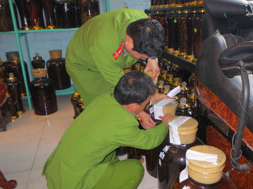 Phát hiện cả ngàn lít rượu ngâm quả cây thuốc phiện