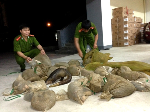 Bắt quả tang gần 100kg động vật hoang dã