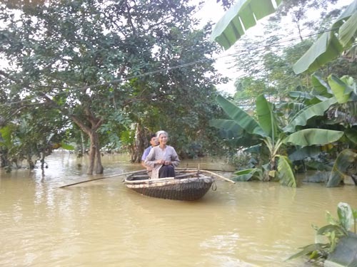 Vùng lũ Tĩnh Gia: Cái đói cận kề!