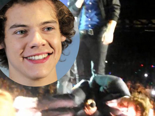 Fan nữ ném giày trúng chỗ hiểm của Harry Styles