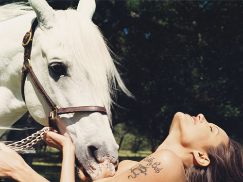 Ảnh ngực trần với ngựa của Angelina Jolie giá cao ngất