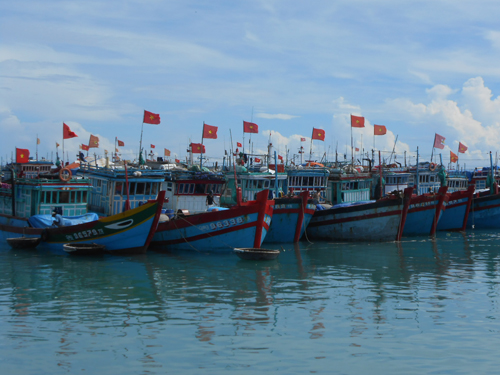 Lý Sơn chủ động phòng tránh bão số 10