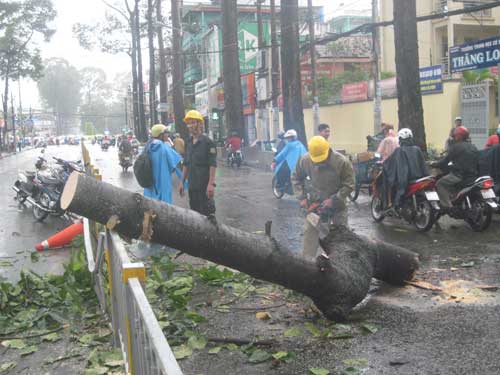 Lương khủng ở các doanh nghiệp công ích: Bao giờ công nhân được đền bù?