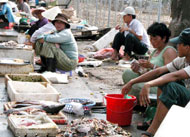 Thực phẩm bán ở các chợ tạm rất bẩn !