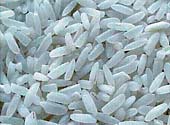 Thứ trưởng Ph&ugrave;ng Đức Tiến kỳ vọng về Kho&aacute;n 10 mới trong chỉnh sửa gen n&ocirc;ng nghiệp - Ảnh 2.