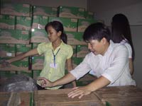 Sữa Yili chứa độc chất melamine