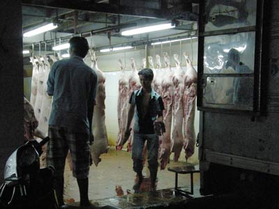 Lò mổ heo xả thẳng nước thải ra kênh