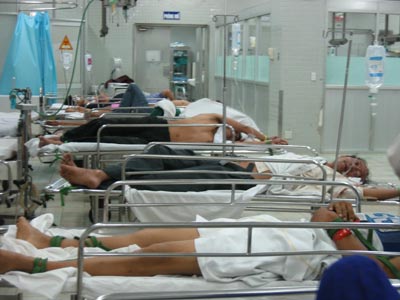 Giun lươn có thể gây nhiều bệnh
