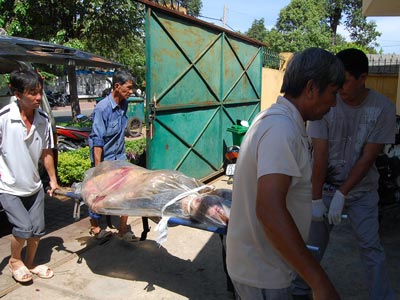 Vụ nổ tàu Nhật Thuần: Vớt được 2 thi thể thuyền viên