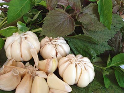 Phòng cúm từ rau, củ, quả