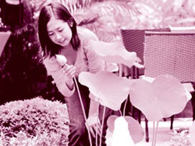 Khi vợ hồi xuân