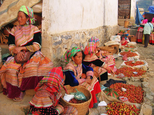 Cao nguyên trắng Bắc Hà
