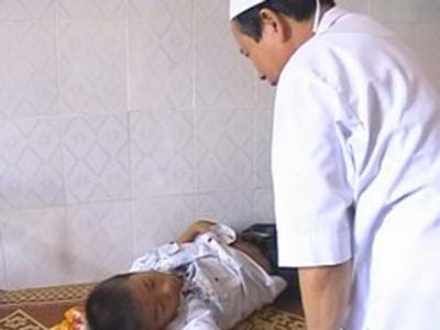 Ăn quả cây ngô đồng, 9 học sinh nhập viện
