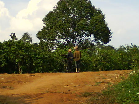 Thờ ơ với vốn quý