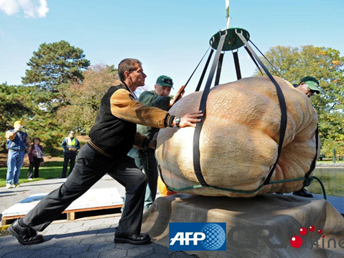 Quả bí ngô lập kỷ lục thế giới mới: 759,5 kg!