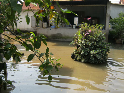 Vỡ bờ bao trong đêm, hàng trăm hộ dân khốn đốn