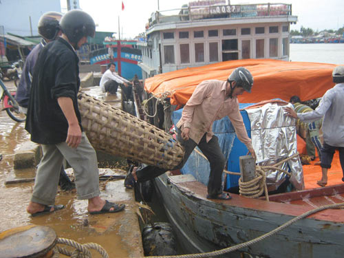 Tiếp tế đảo Lý Sơn
