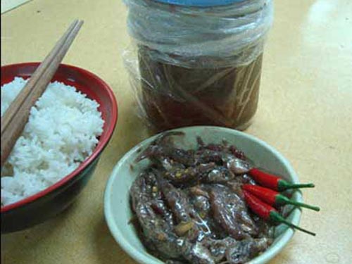 Cơm nóng, chén mắm mùa lũ