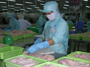 VASEP không thể đại diện cho người nuôi cá tra
