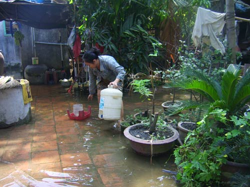 Rạch Ông Đụng bị xé toạc