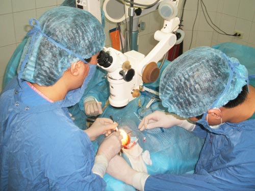 Nhiều hy vọng từ ghép tế bào gốc