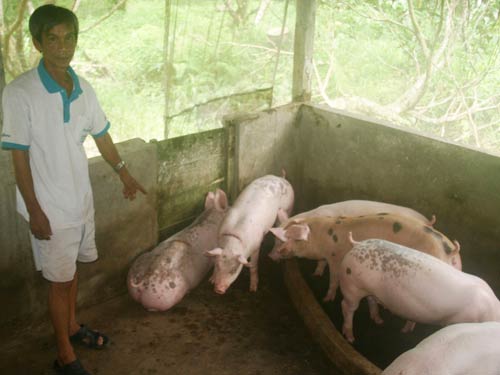 Cướp cạn lộng hành: “Nông tặc” tác quái